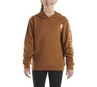 Carhartt Boys' Long Sleeve Hooded Sweatshirt, Brown, X-Large (18/20)