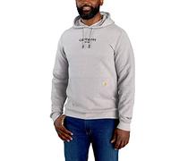 Carhartt Lightweight Logo Graphic Hoodie, grau, Größe 2XL