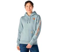 Carhartt Clarksburg Logo Damen Hoodie, grau/orange, Größe M