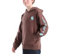 Carhartt Jungen Long-Sleeve Graphic Sweatshirt-Boys Kapuzenpullover, Kastanie, 7 Jahre