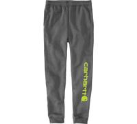 Carhartt Midweight Tapered Graphic Jogginghose, grau, Größe M