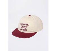 Carhartt WIP Alston Cap Natural/Rondo