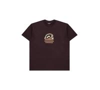 Carhartt WIP Rising Helix T-Shirt Braun