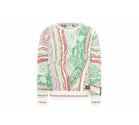 Carlo Colucci - CARLO Strickpullover - Sweatshirt-Strick gruen