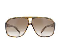 Carrera Aviator Herren Havanna Braun Gradient Sonnenbrille Einheitsgröße