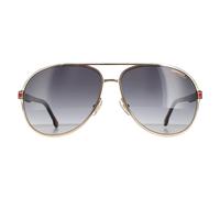 Carrera Aviator Unisex Gold Havanna Dunkelgrau Gradient 1051/S Einheitsgröße