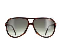 Carrera Aviator Unisex Havanna Grün Verlauf 1045/S Einheitsgröße