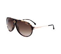 Carrera Hot65 086/HA HAVANA Sunglasses Unisex Acetate, Standard, 63