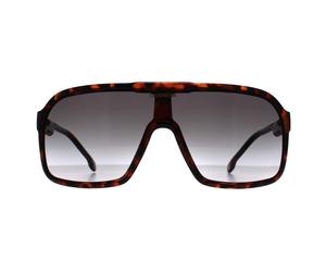 Carrera Schild Herren Havanna Grau Gradient 1046/S Einheitsgröße