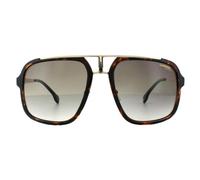 Carrera Square Unisex Havanna Gold Braun Gradient Sonnenbrille Einheitsgröße