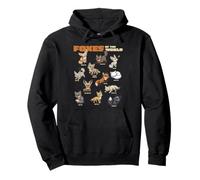 Cartoon Foxes of The World Breeds Animals Lover Cute Fox Pullover Hoodie