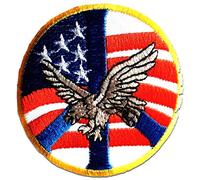 Catch the Patch Usa Amerika Adler Aufnäher zum Aufbügeln Military 7,7 x 7,7 cm Bügelbild für Erwachsene mit Heraldik Wappen Vintage Authentisch, Airsoft SWAT Medic Blutgruppe Anwendung