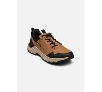 Caterpillar Sneaker COLORADO SNEAKER LO in Beige 43