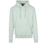 Cayler & Sons Herren C&S Plain Hoody Bird's Egg Green, XXL