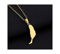CECECOLEPansr Schmuck Karte Halskette, Fuerteventura Glossy Map Styling Pendant Necklaces Women Girls Men Fashion Party Annivers Jewelry Geometric Pendant Couple Gifts,Gold Pendant,45Cm(17.7 Inches)