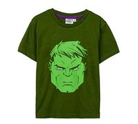 Cerda Group Avengers Hulk Short Sleeve T-Shirt 8 Years
