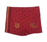CERDÁ LIFE'S LITTLE MOMENTS Jungen 2200007171_T06A-C64 Harry Potter Badehose Boxer Badeanzug Kinder-Offizielle Warner Bros Lizenz, Mehrfarbig, 6 Jahre