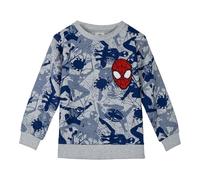 CERDÁ LIFE'S LITTLE MOMENTS Sweatshirt aus gebürsteter Baumwolle, Unisex, für Kinder, Grau, 5 Jahre