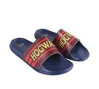 CERDÁ LIFE'S LITTLE MOMENTS Unisex Zehtrenner und Motiven von Harry Potter Bedruckt | Sandalen Sommer für die ganze Familie mit Eva Sohle-Offizielle Lizenz Warner Bros