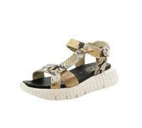 Cetti Sandalen für Damen, lässig, Keilabsatz, Klettverschluss, Gummisohle mit Muster, Leder, Tier, Schlange, Champagner, 41 EU
