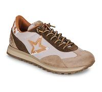 Cetti Sneaker C-1259-SRA-INV26-ANTE-NILON-DESSERT in Braun 37