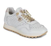 Cetti Sneaker C-848-SRA-V26-NATURE-BLANCO-ORO in Weiss 37