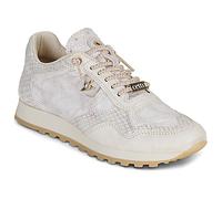 Cetti Sneaker C-848-SRA-V26-SNAKE-MARFIL in Weiss 39