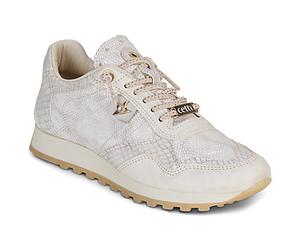 Cetti Sneaker C-848-SRA-V26-SNAKE-MARFIL in Weiss 41