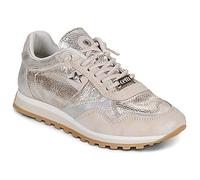 Cetti Sneaker C-848-SRA-V26-SNAKE-PLATA-VIEJA in Gold 39