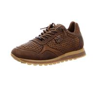 Cetti Sneaker Low Top für Herren, braun, Größe 46 EU
