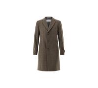 CG Raxton-V BV Braun 56