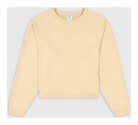 CHAMPION Damen Sweatshirt Crewneck Croptop Sweatshirt (116095S23) M GIN