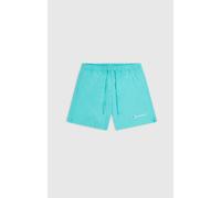 Champion Legacy Icons Beachshorts - Crinkle Taslon Small Script Logo Shorts, Aquamaringrün, L Herren SS24, Aquamarin Grün, L