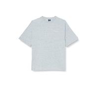 Champion Herren Legacy American Classics Tonal Logo S/S T-Shirt, Grau, Small