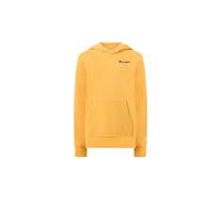 CHAMPION Hooded Sweatshirt AGD, M