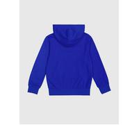 CHAMPION Hooded Sweatshirt BAI, XXL