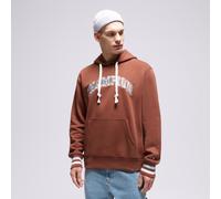 CHAMPION HOODIE HOODED SWEATSHIRT Braun Herren