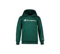 Champion Kapuzenpullover Hoodie Big Logo Print (gefüttert) waldgrün Kinder, Größe 164