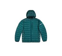 Champion Legacy Outdoor (220340) - WR Light Nylon Cirè 35g Small Script Logo Hooded Jacke, Flaschengrün (HLG/NBK), L Herren FW24, Grüne Flasche (HLG/NBK), L
