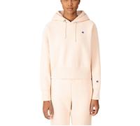 Prairie Sunset XS Champion Hooded Sweatshirt