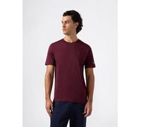 Champion Shirt in Lila - Größe M | Herren Plussize