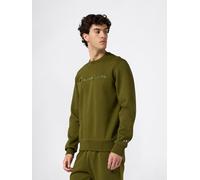 Champion Sweatshirt in Khaki - Größe L | Herren Plussize