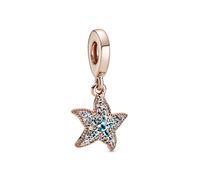 Charm Pandora 788942C01