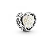Charm Pandora 799413C01
