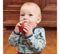 Cheeky Apple Bio Langarm-Body "Crocs on Wheels" 50/56