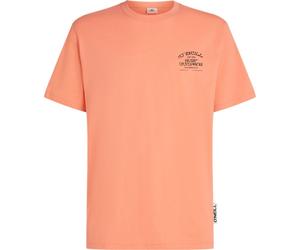 Chest Print Tee O´Neill S