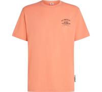 Chest Print Tee O´Neill XL