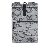 Chiemsee Jump N Fly Rucksack 46 cm Laptopfach grau (CS6050704) grau