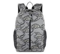 Chiemsee Jump N Fly Daypack 43 cm Laptopfach grau
