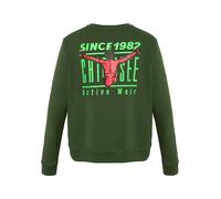 Chiemsee Sweatshirt Herren grün, S